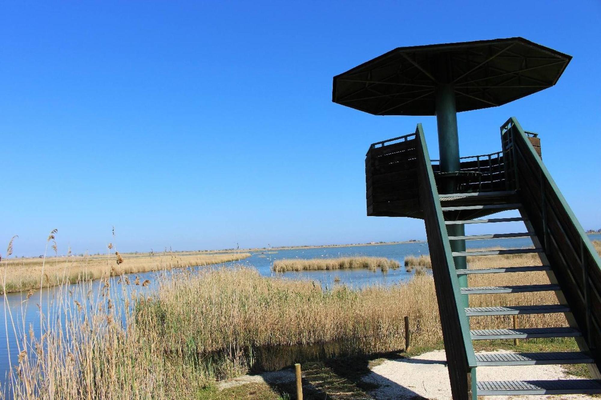 Eusebio - Casa En Riumar Para 4 Personas Y En Primera Linia De Mar - Deltavacaciones Экстерьер фото